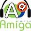 Radio Amiga Fm 100.7