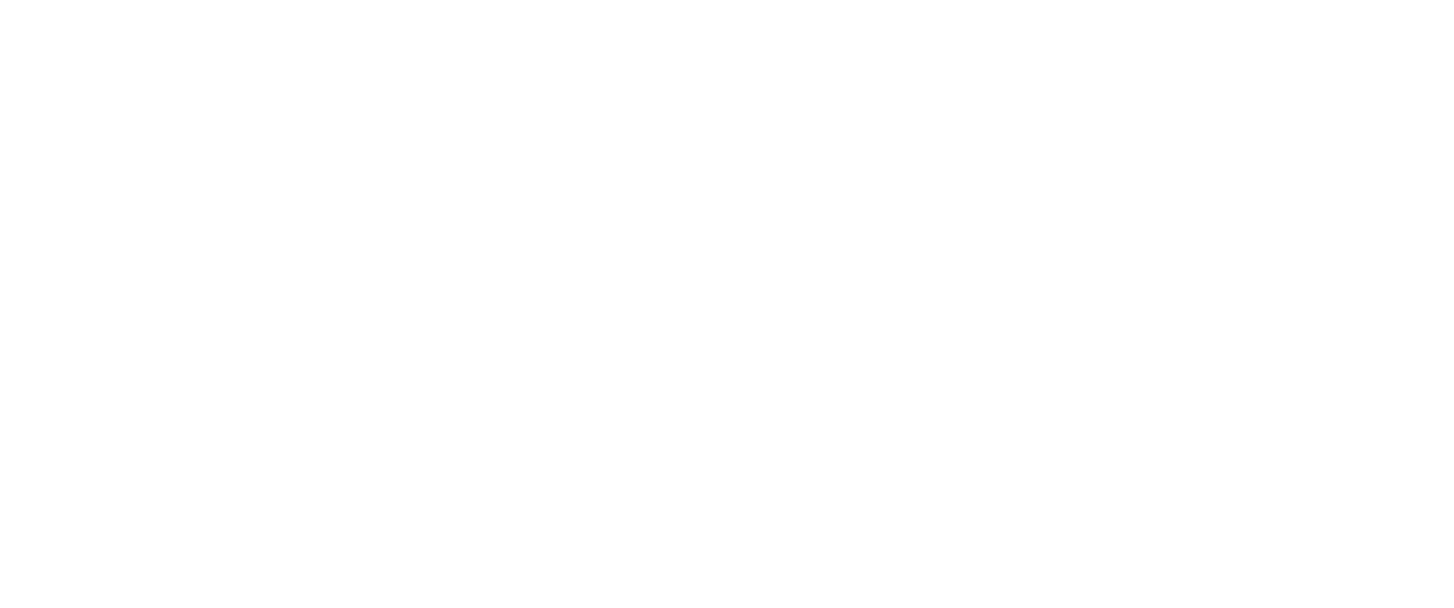 Flirt FM 101.3