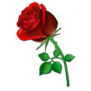 Boleros Inolvidables (FMLima)