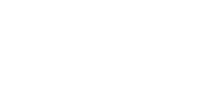 CONCIERTO PUNTA