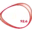 MFM