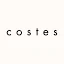 Hotel Costes