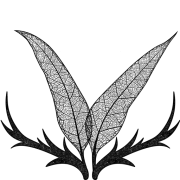 Phaune radio