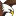 93.7 The Eagle