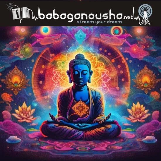 Babaganousha Labs