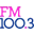 FM100.3 - Better Music Better Work Day