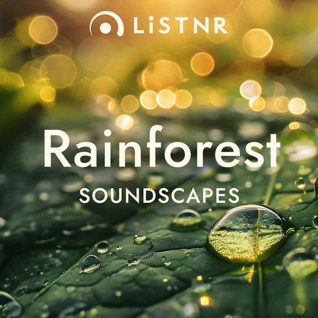 LiSTNR - Rainforest [Soundscapes] (HLS)