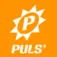 PulsRadio Hits