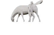 Radio Esperando
