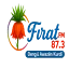Radio Firat FM 87.3