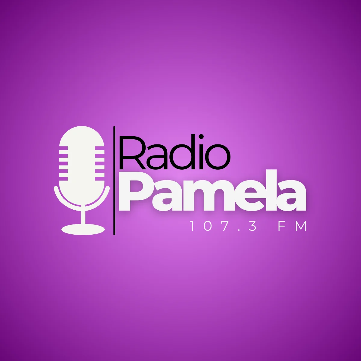 Radio Pamela FM 107.3
