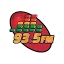 La Patrona (Puerto Vallarta) - 93.5 FM - XHEJ-FM - Alica Medios - Puerto Vallarta, JC