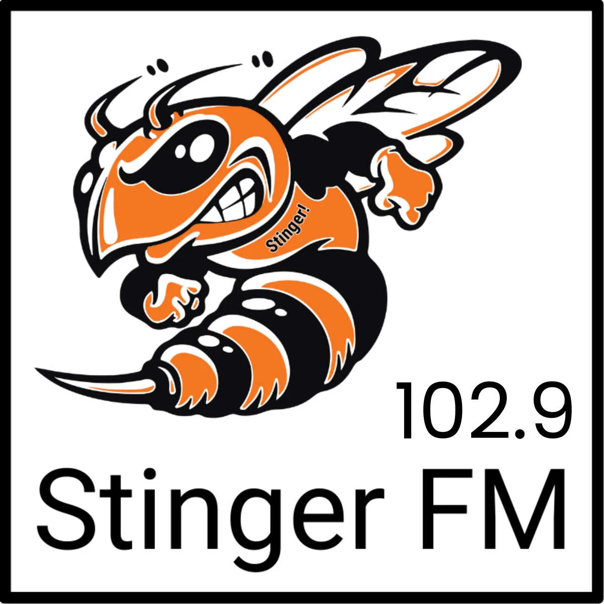 Stinger FM 102.9 - KITY