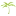 the Oasis Radio Network