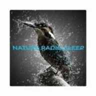 NATURE RADIO SLEEP