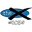 The X (Pittsburgh)