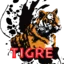 TIGRE 94.7 FM