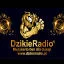 DzikieRadio