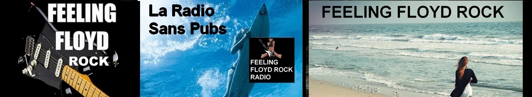 Feeling Floyd Rock