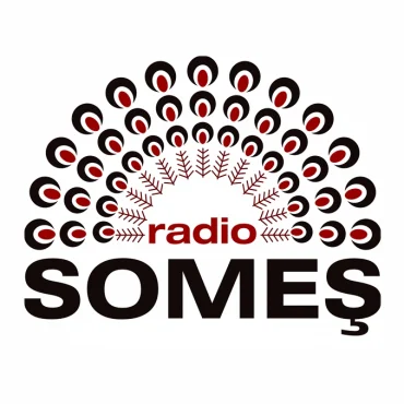 Radio Someș -Bistrița 96,6 FM