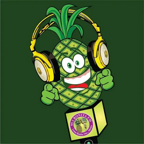 Bonita FM 95.1
