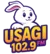 Usagi FM 102.9 (Puebla)