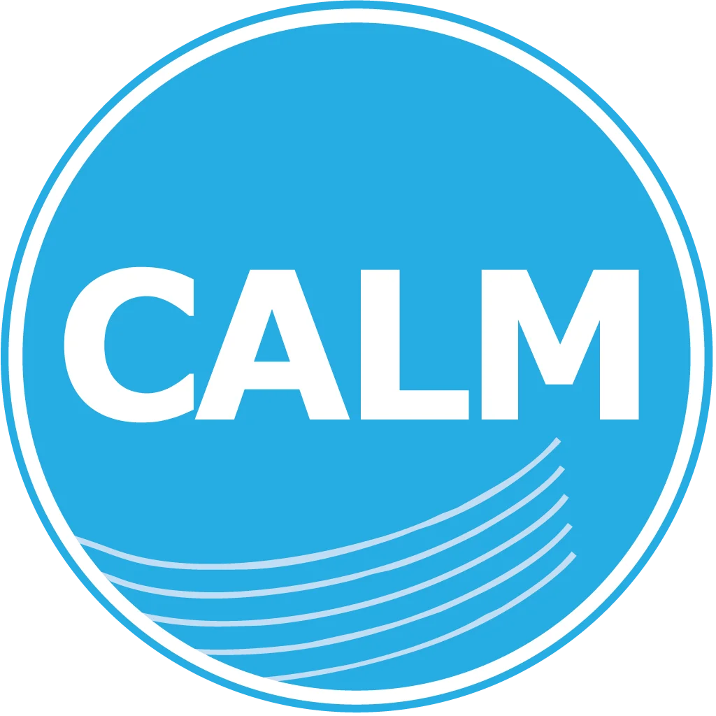 Calm Radio - Flute