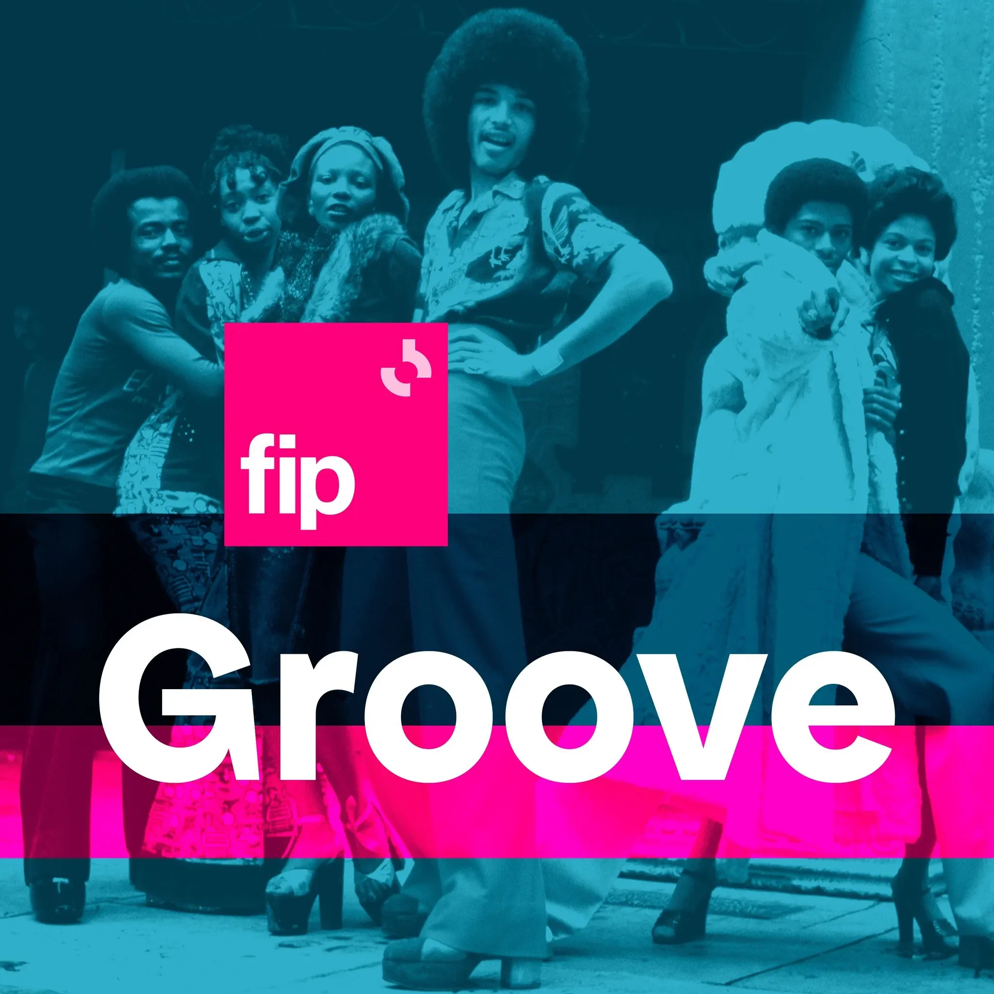 FIP Groove