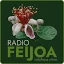 Radio Feijoa