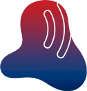 Digital FM 96.3