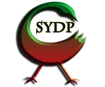 WSYP-LP 95.1 FM - Birmingham, AL - Sankofa Revolutionary Radio