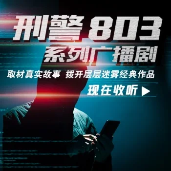 刑警803