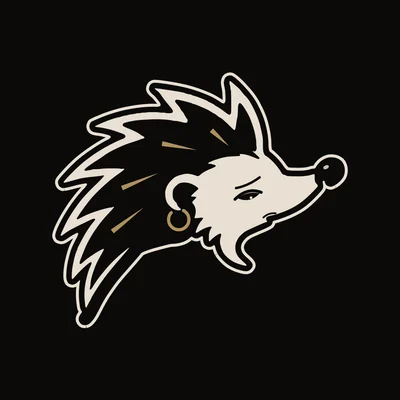 Hedgehog Radio