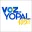 la voz de yopal 105.3 fm