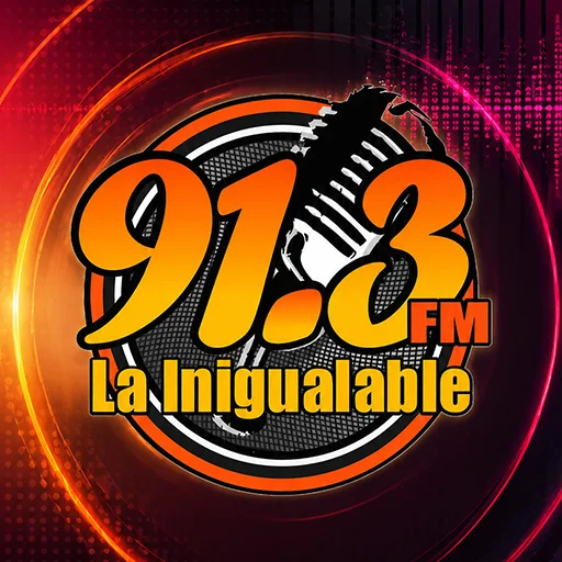 LA INIGUALABLE 91.3 (Amatepec) - 91.3 FM - XHPAMM-FM - Amatepec, Estado de Mexico