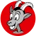 Radio Grischa