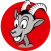 Radio Südostschweiz