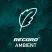 Radio Record Ambient