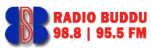 Radio Buddu