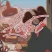 Lo-Fi