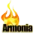 Radio Armonía 100.1 FM
