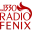 CX 40 Radio Fenix