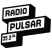 Radio Pulsar