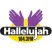 104.3 Hallelujah FM