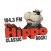 104.3 The Hippo