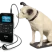Angel Radio (HQ)