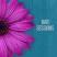 Bar Sessions (MP3)