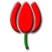 Flower Power Radio