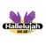 Hallelujah 940