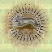 Radio EarthRites